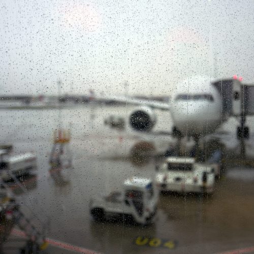 2017-03-NYC-orly-1110572