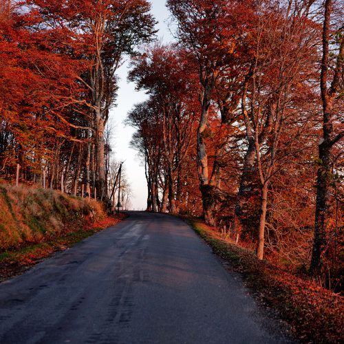 L1050743-WEB-©sylvain-massot