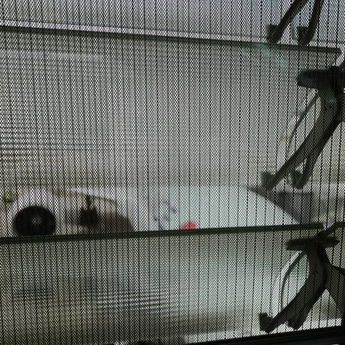 L1120955-©sylvain-massot