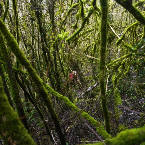 L1320474-ariege-2020-12