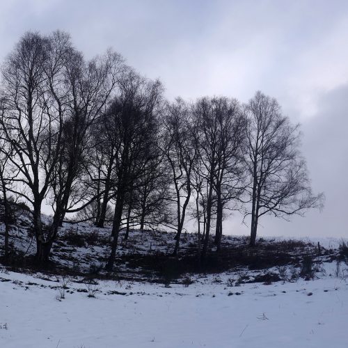 L1320505-WEB-©sylvain-massot