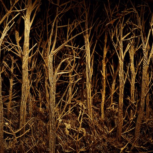 L1340065-musee-chasse-2021-06-WEB-©sylvain-massot